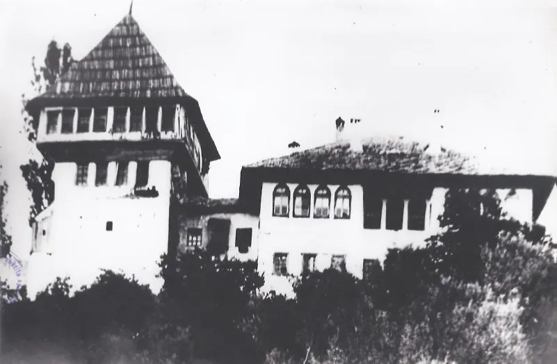 Page image