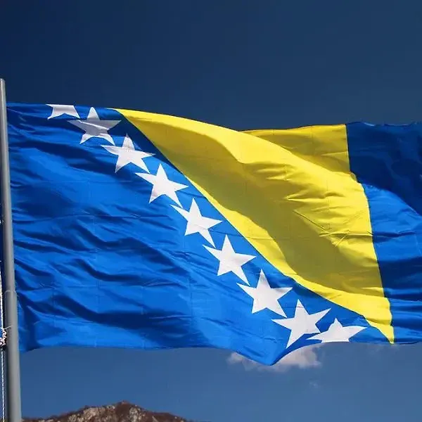 Немања тест анкета
