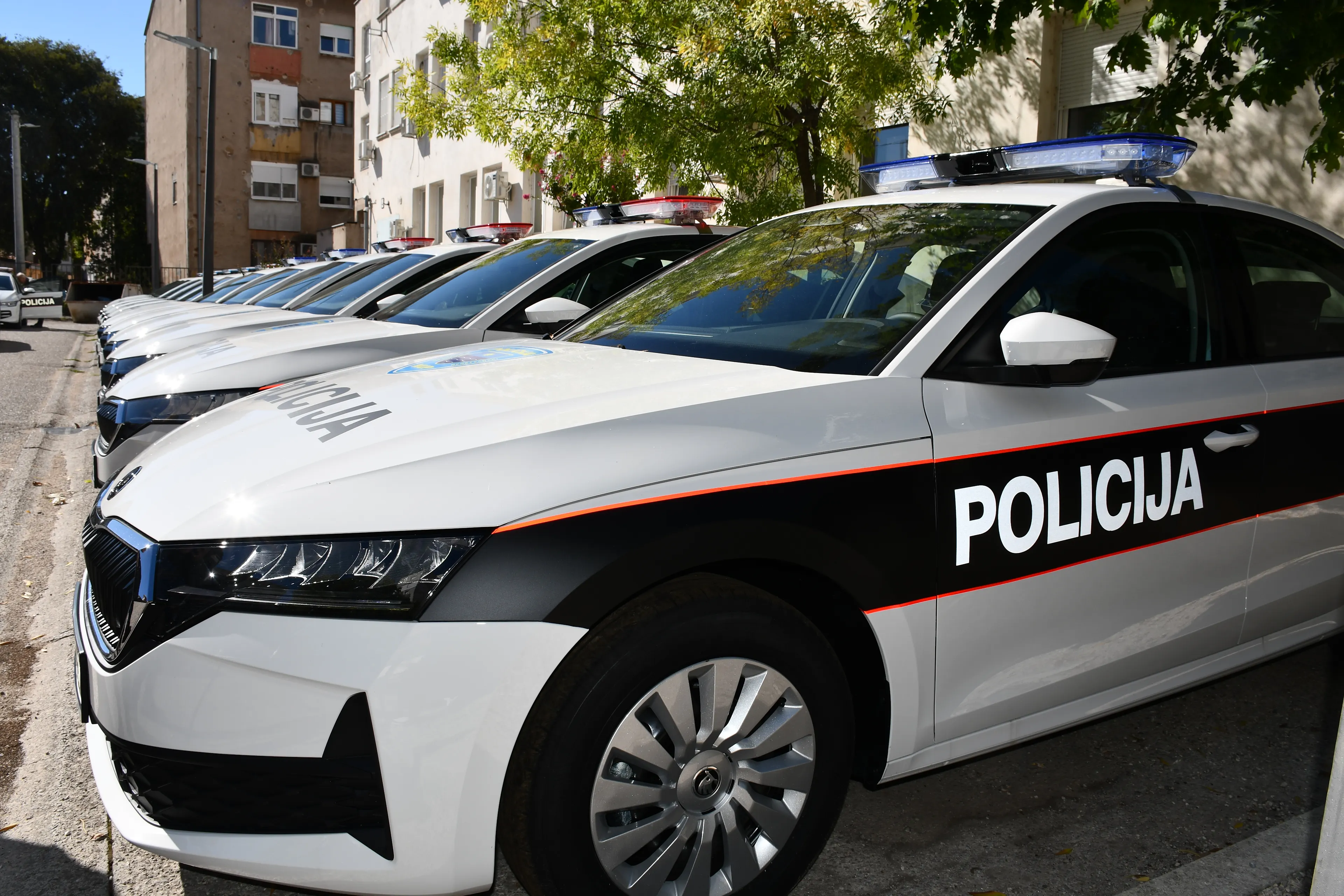 Галерија 1