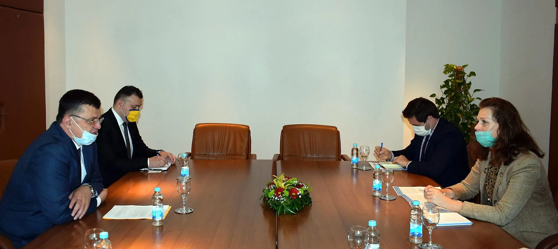 Predsjedavajući Tegeltija razgovarao s rezidentnom koordinatoricom UN-a u BiH Mekdonald