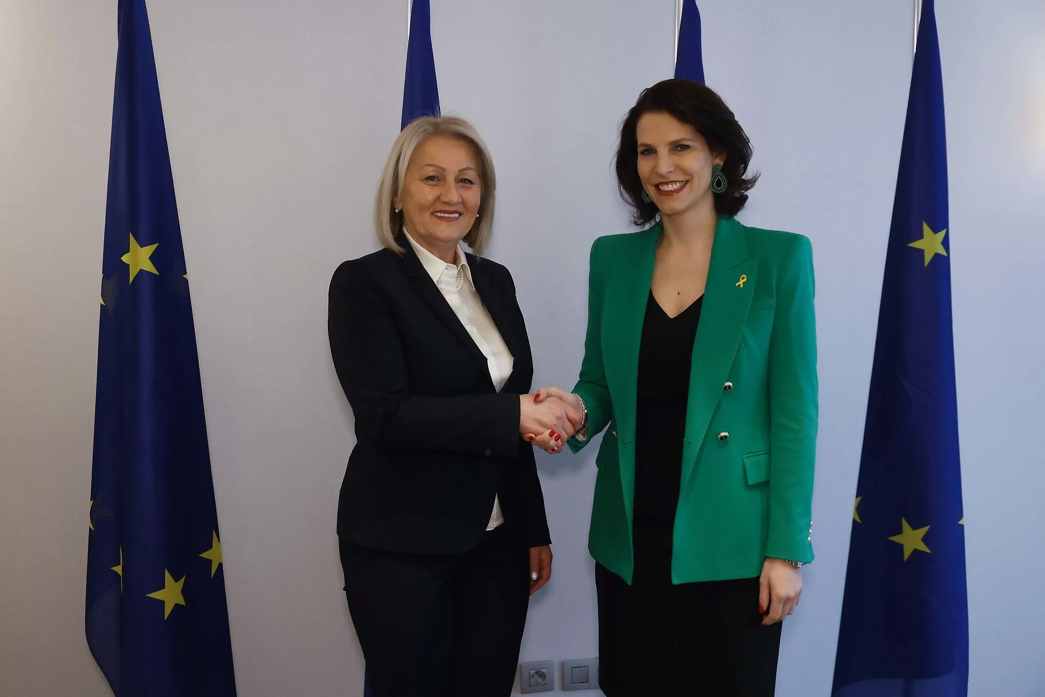 Chairwoman Krišto with GAC Members Talks on BIH Activities on European Road