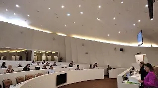 Округли сто о приступу ЛГБТИ особа здравственим услугама у БиХ