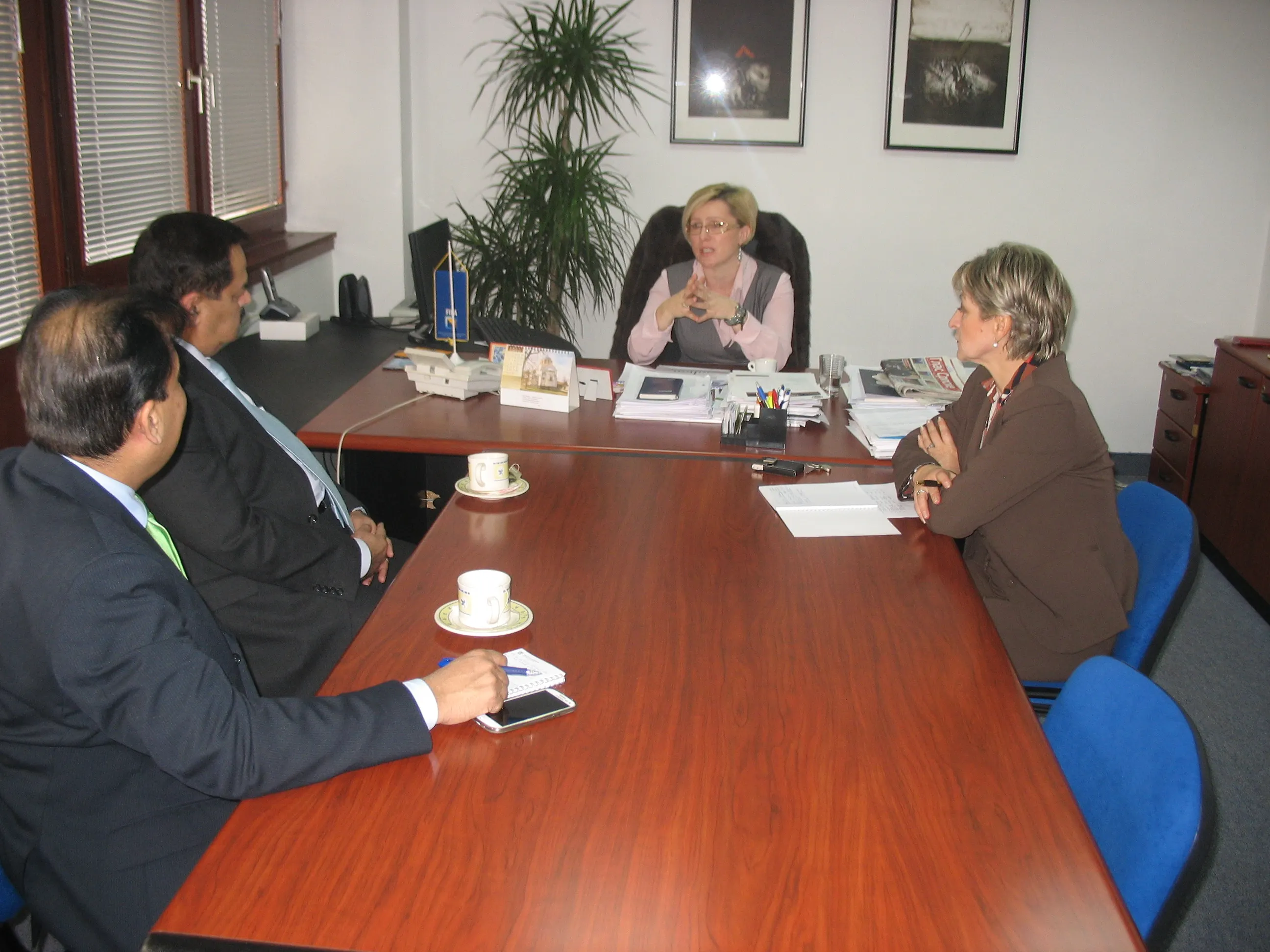 SASTANAK DIREKTORICE FIPA-e SA AMBASADOROM PAKISTANA U BIH