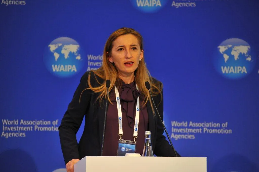 Predstavnik FIPA-e učestvovao na konferenciji o održivosti DSU