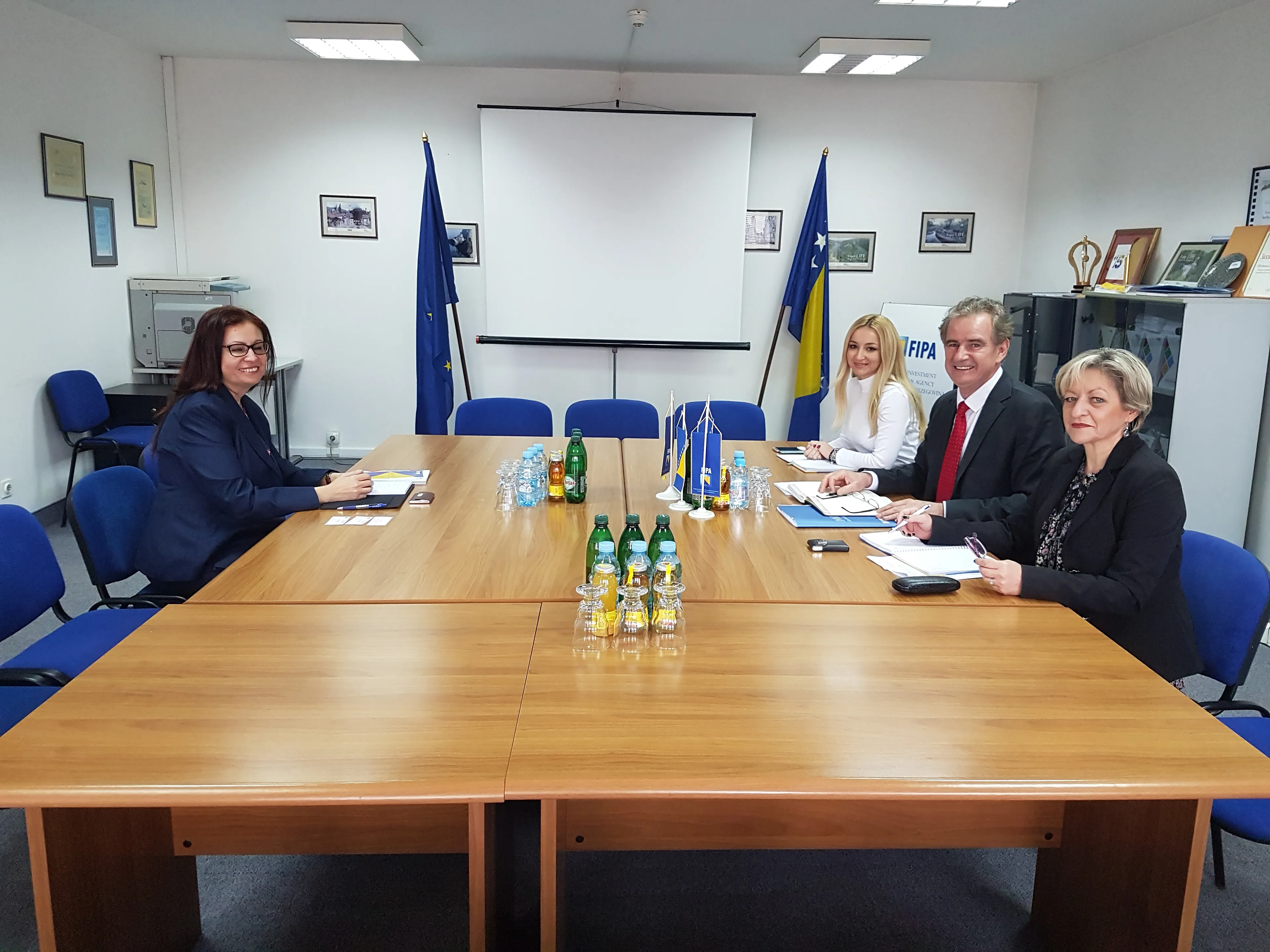 EGIPĆANI ZAINTERESIRANI ZA ULAGANJA U DRVNU INDUSTRIJU I ENERGETIKU