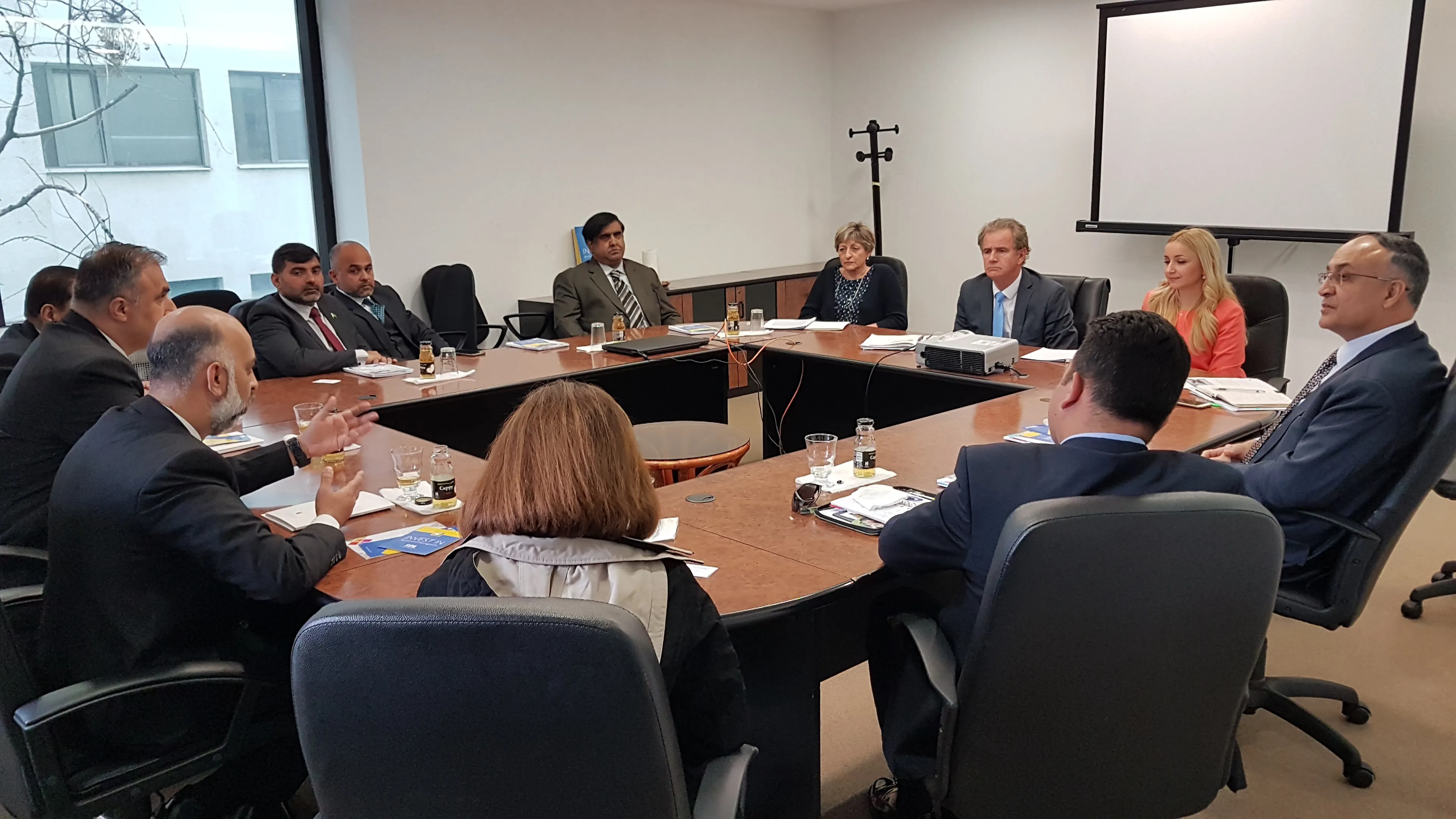 Nizak priliv investicija iz Pakistana u BiH