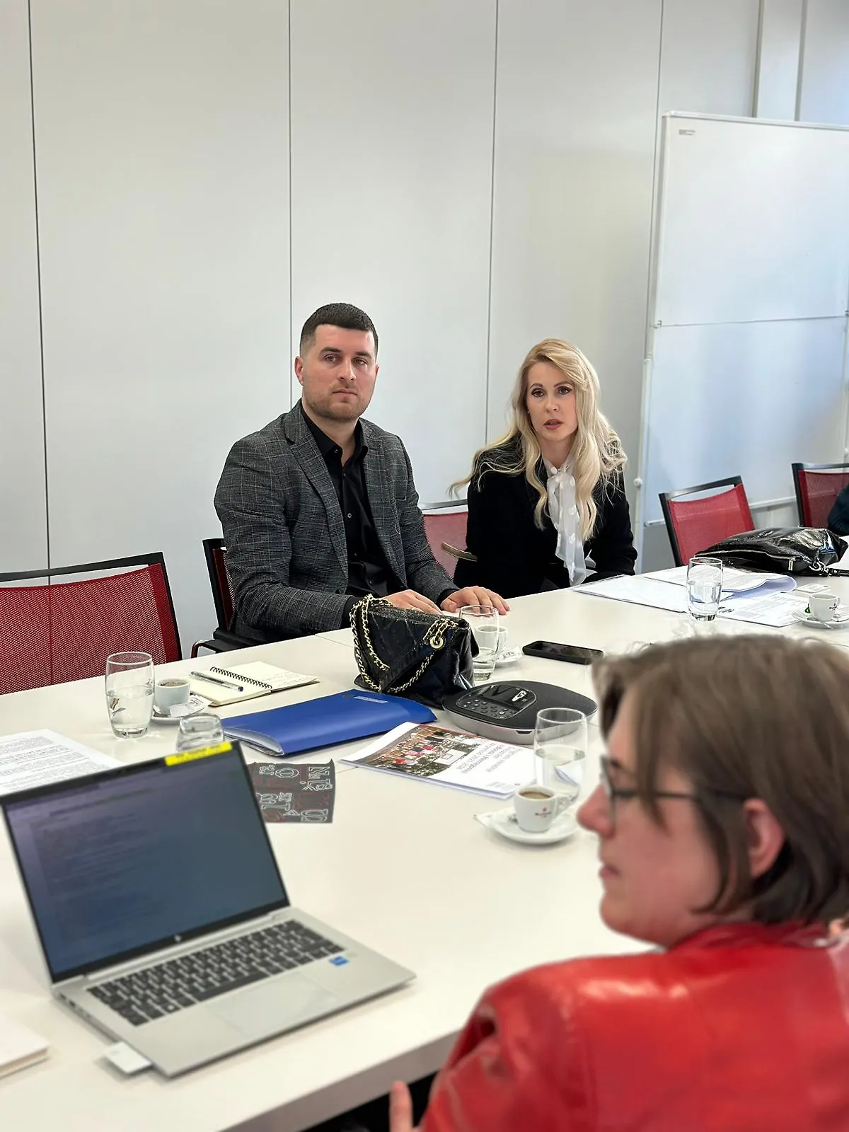 V.d. direktora FIPA-e na sastanku s ekonomskim odjelima ambasada Austrije, Italije, Norveške, Sjedinjenih Američkih Drzava, Švicarske i Ujedinjenog Kraljevstva u Bosni i Hercegovini