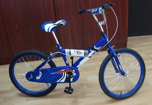 Završen projekat nadzora bicikla za odrasle i mlade
