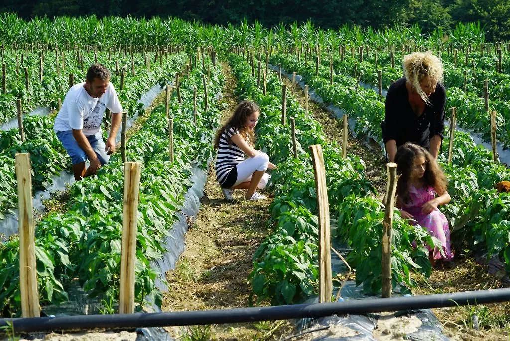 DVADESET MILIONA EURA POMOĆI EVROPSKE UNIJE ZA POLJOPRIVREDNO-PREHRAMBENI SEKTOR U BIH