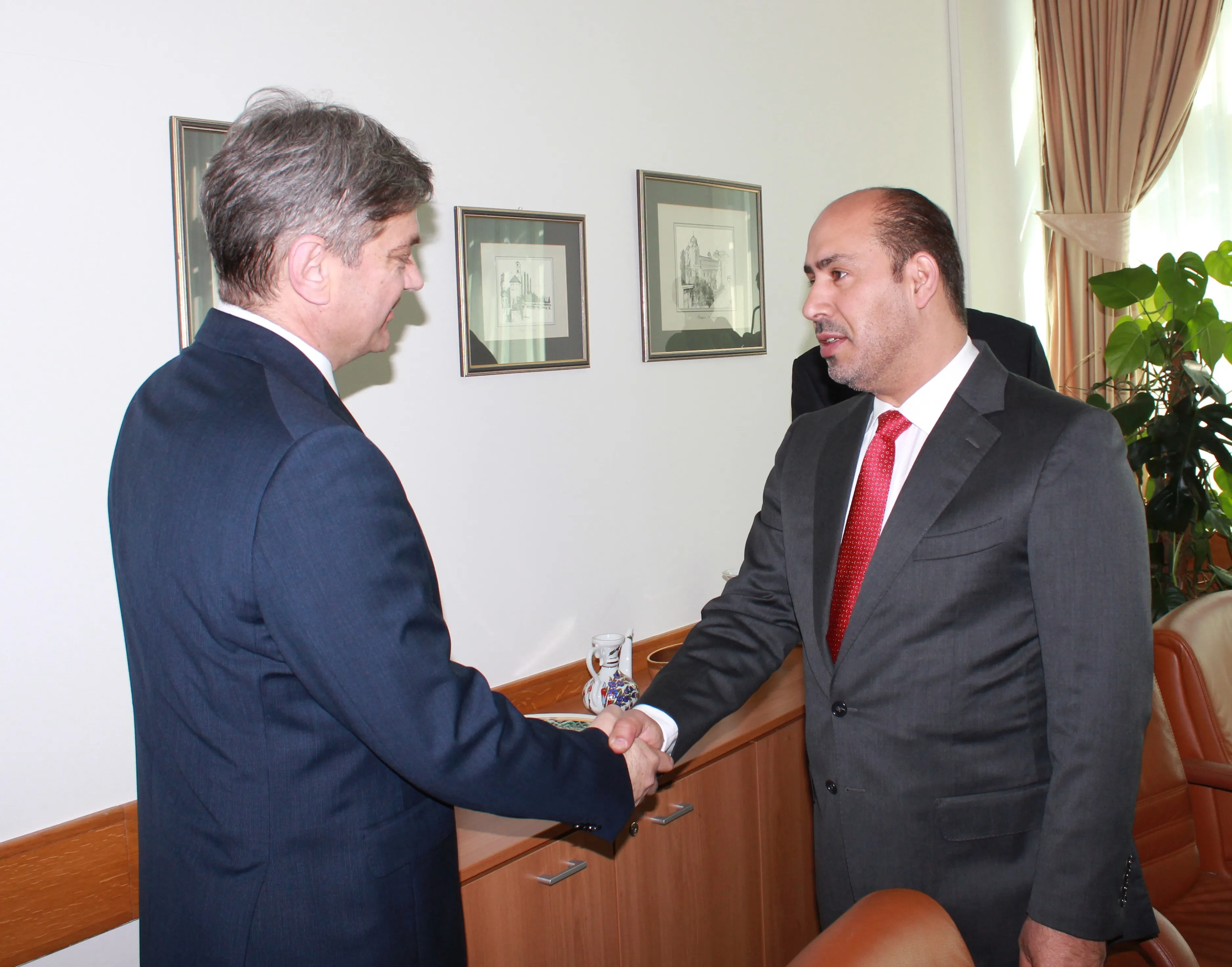 Zvizdić – Al Raisi: Bosna i Hercegovina dobila poziv za sudjelovanje na EXPO 2020 u Dubaiju