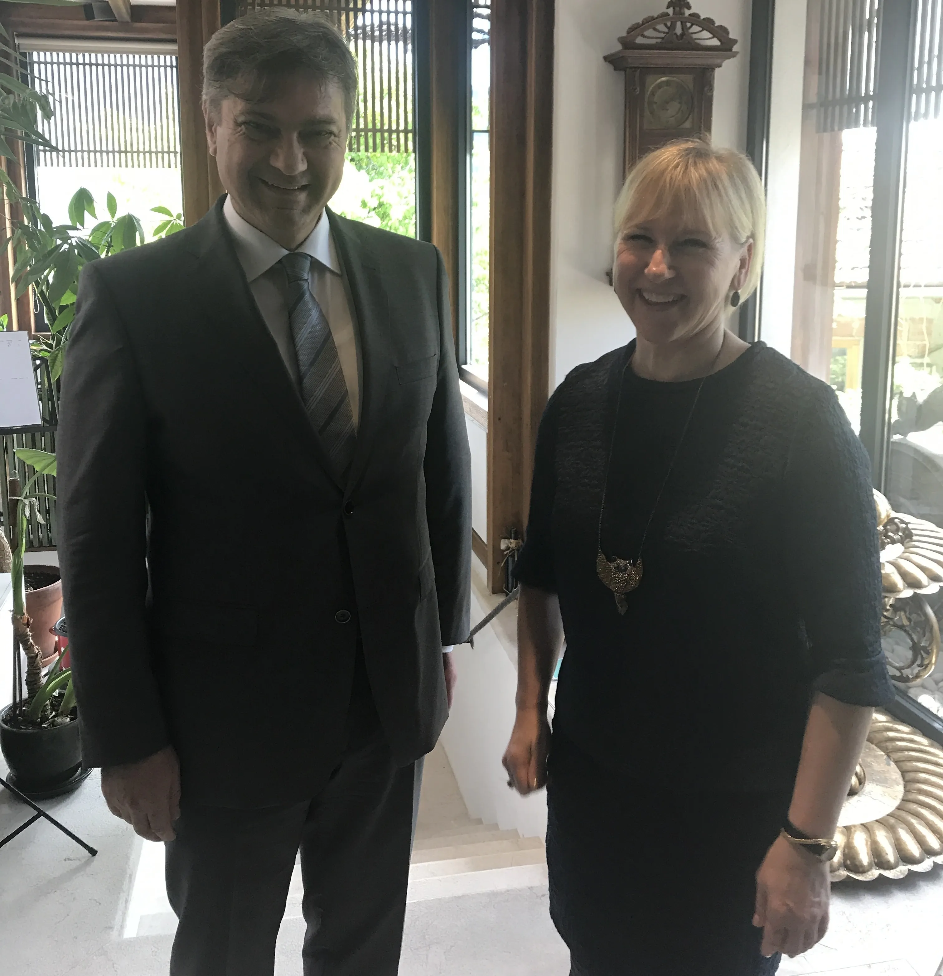 Predsjedatelj Zvizdić i ministrica vanjskih poslova Wallstrom: Švedska zagovornik proširenja EU na Zapadni Balkan