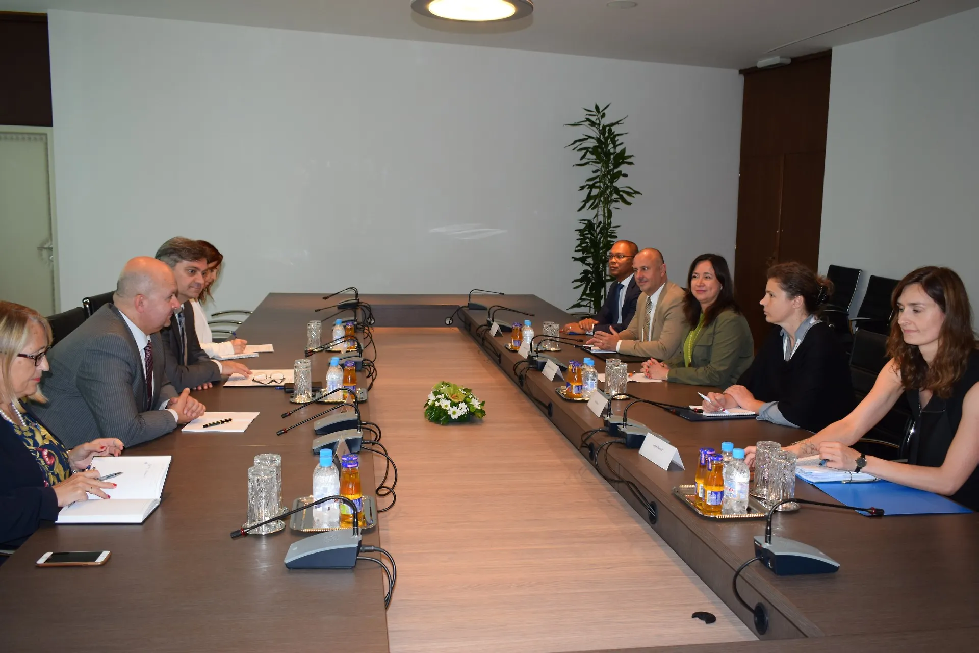 Predsjedavajući Zvizdić i  direktorica Calavera razgovarali o evropskim integracijama   i pripremama za samit u Trstu    