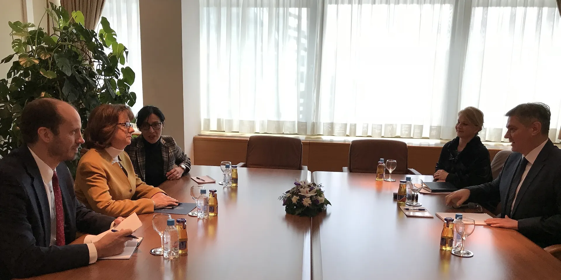 Predsjedatelj Zvizdić s veleposlanicom Cormack