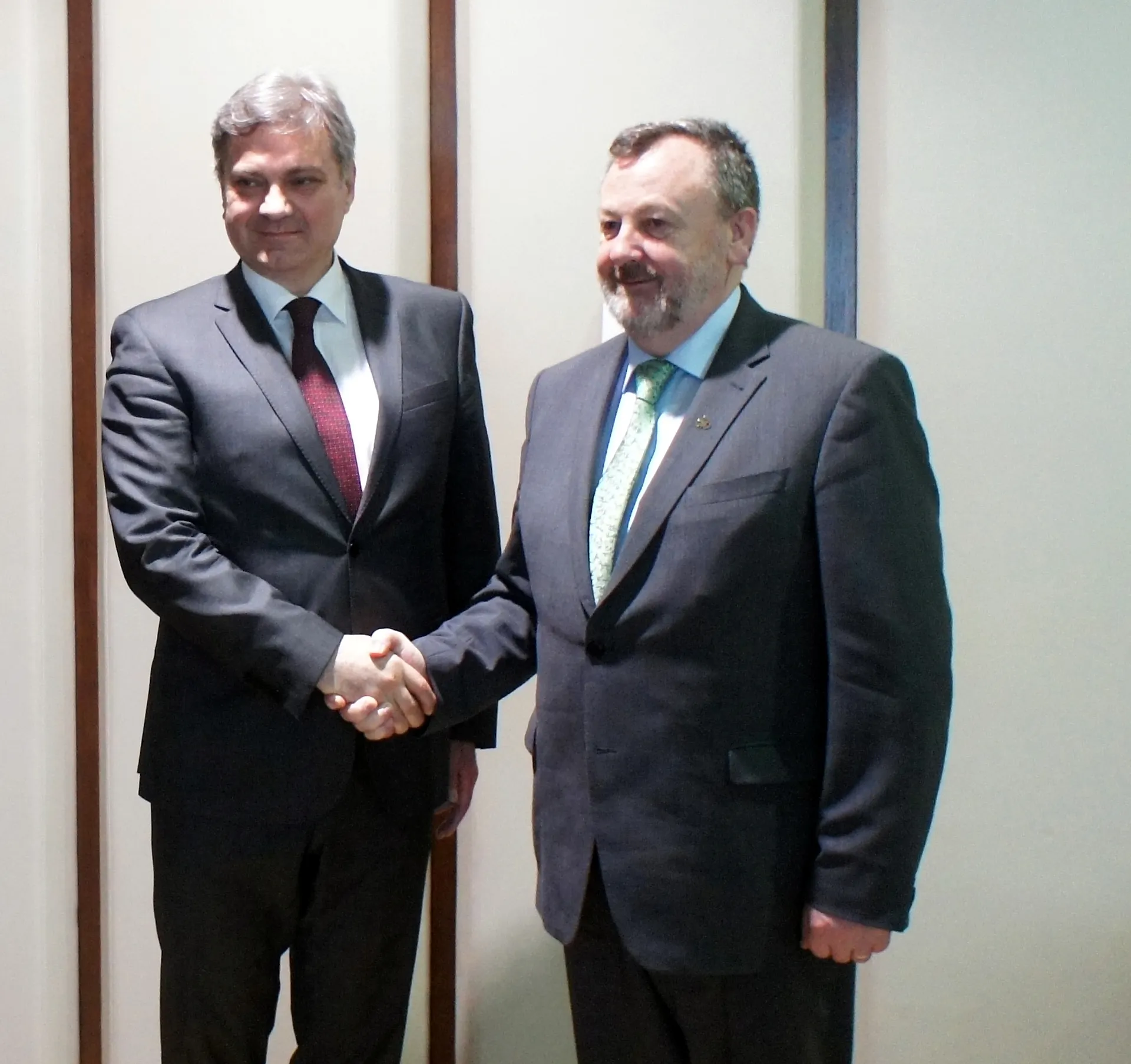 Chairman Zvizdić with President of Senate of Ireland