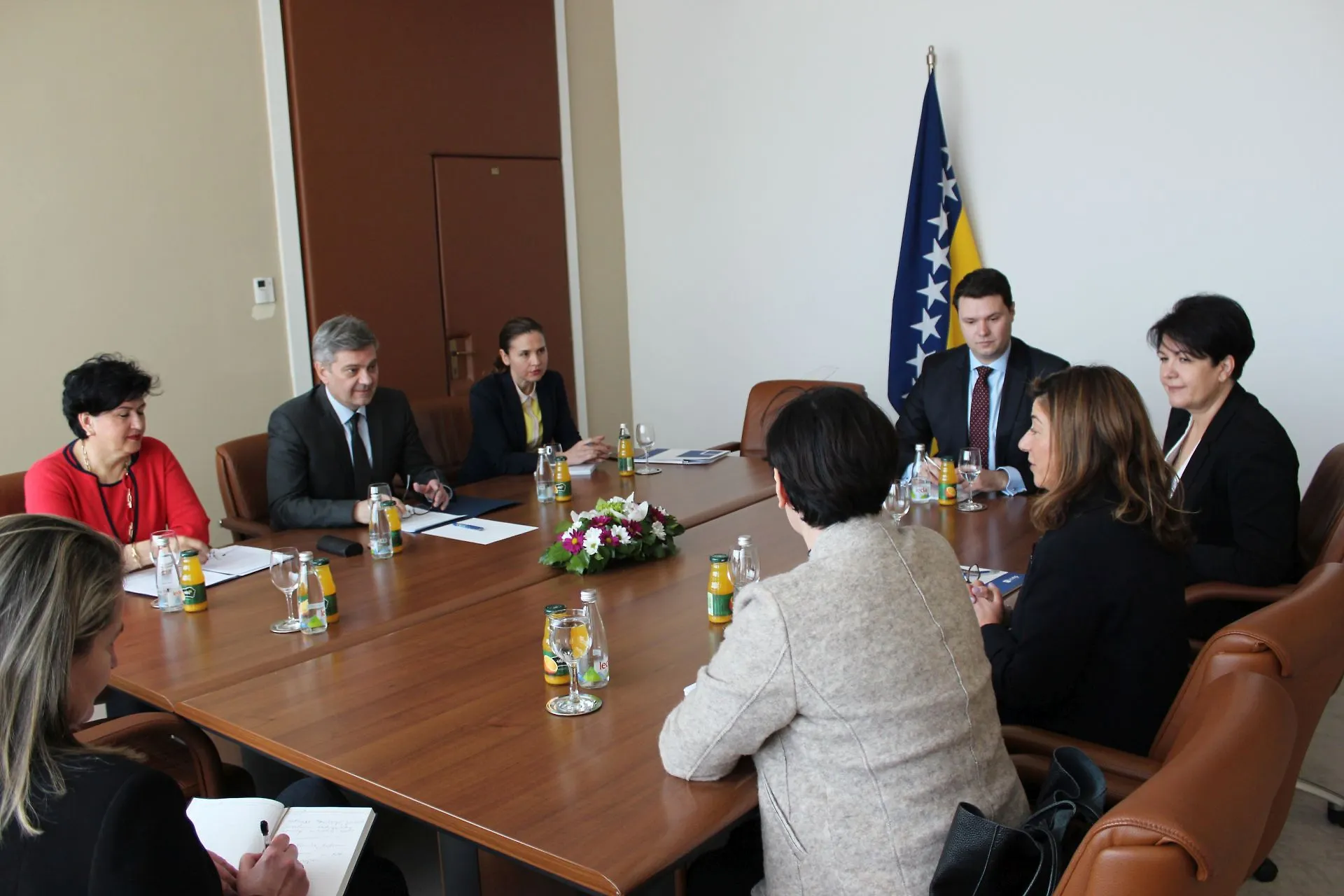 Zvizdić and Borovac Talk with ICMP Director