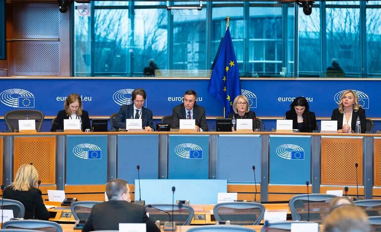 Predsjedavajuća Krišto na AFET-u