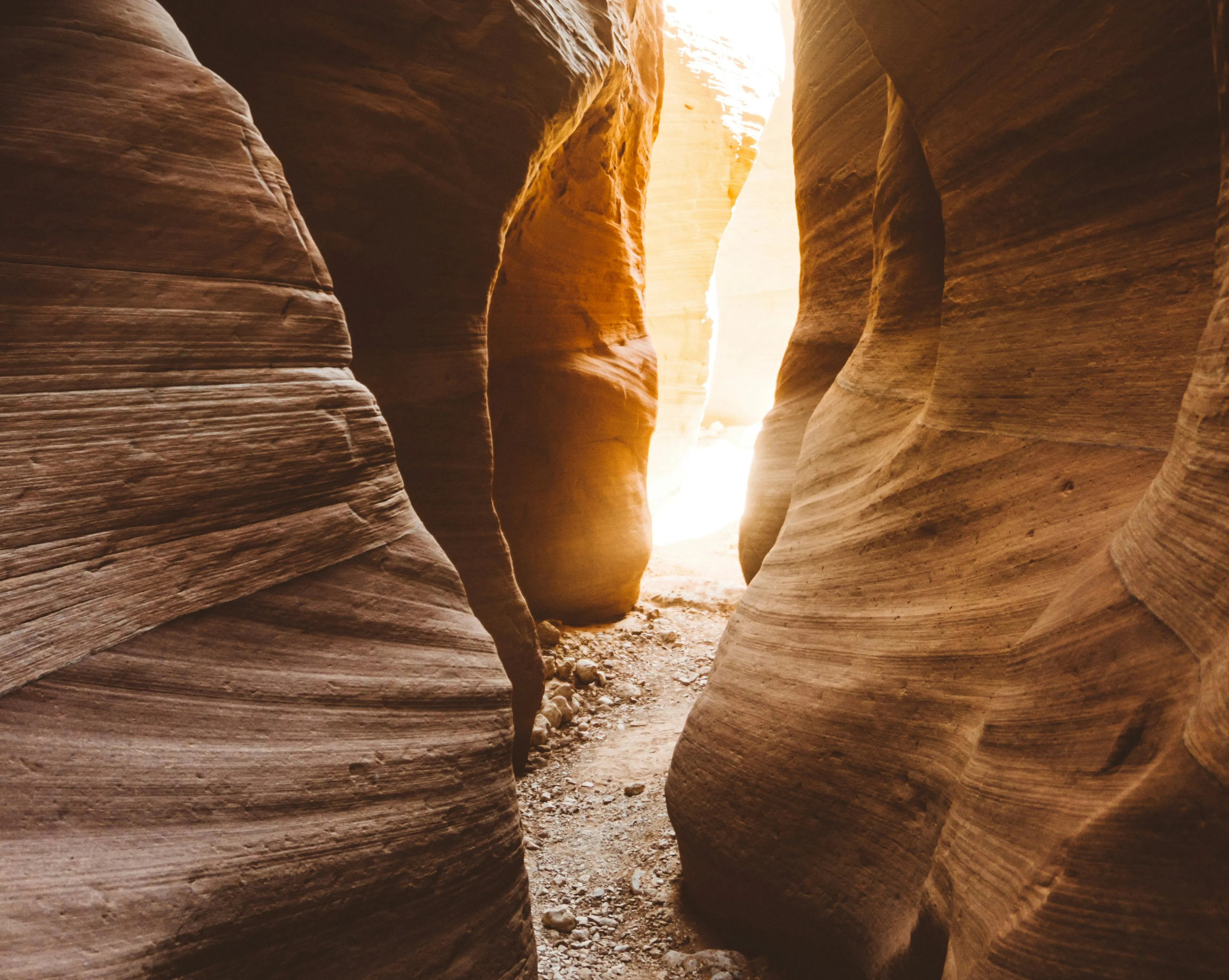 About the sector for geodesy, geology and meteorology