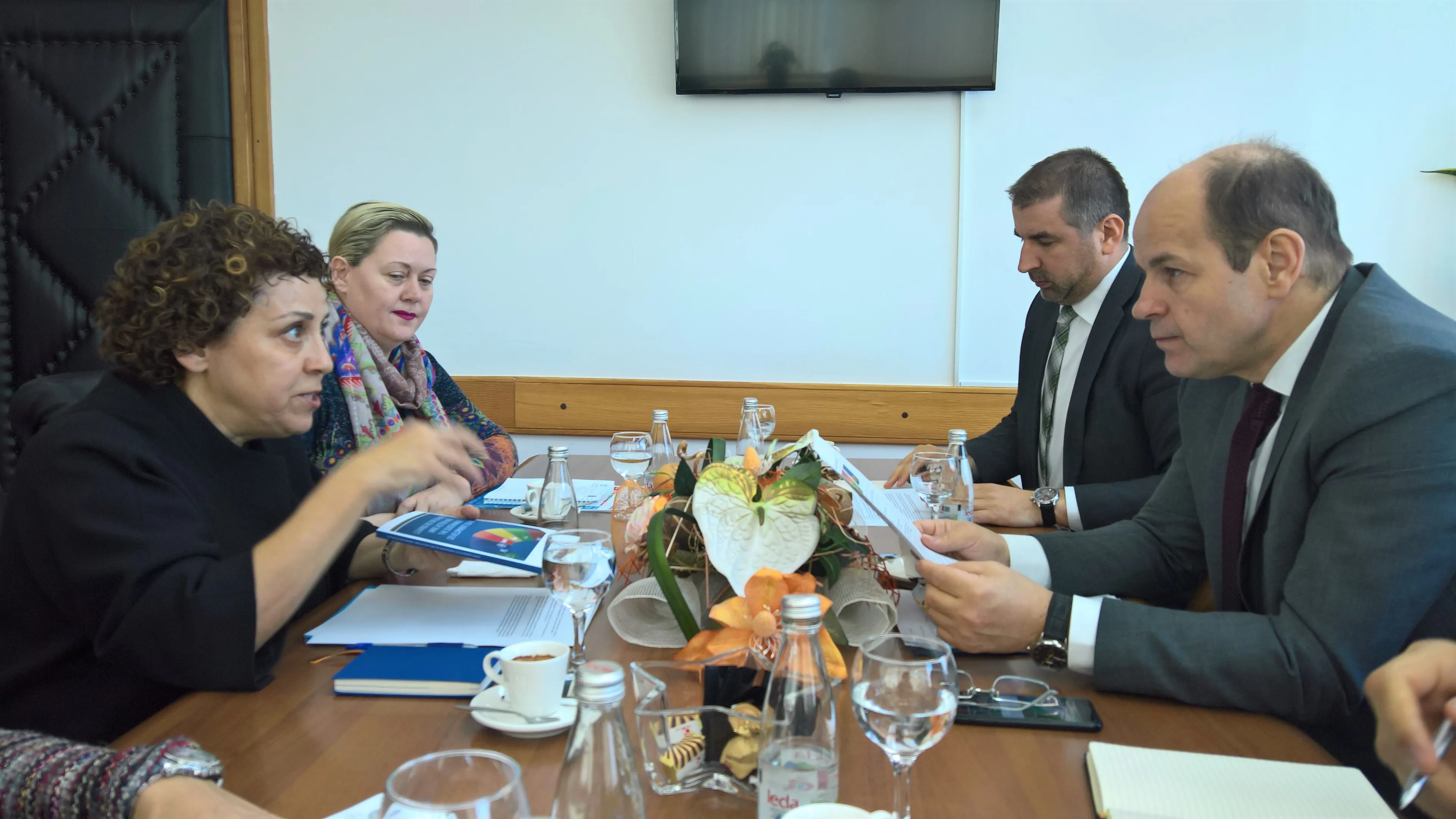 Османовић - Синаноглу: Велики напредак Босне и Херцеговине у испуњавању Циљева одрживог развоја