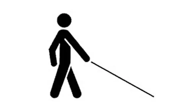 Међународни дан бијелог штапа 