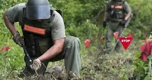 Замјеник министра цивилних послова Синиша Илић на интернет конференцији о изазовима деминирања у БиХ