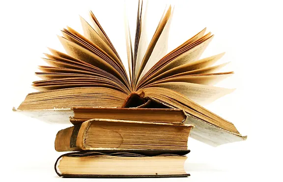 Javni konkurs za dodjelu sredstava iz tekućeg granta „Sufinansiranje projekata institucija  kulture u Bosni i Hercegovini“ za 2020. godinu