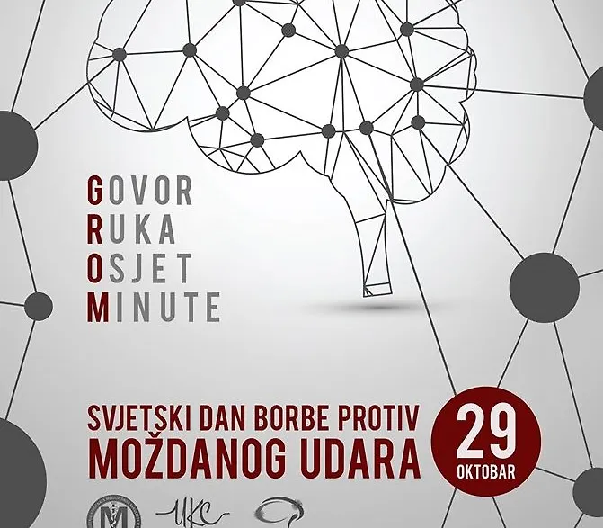 Свјетски дан борбе против можданог удара 
