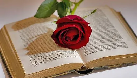 23.4. - Svjetski dan knjige i autorskih prava