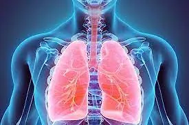 Svjetski dan hronične opstruktivne plućne bolesti