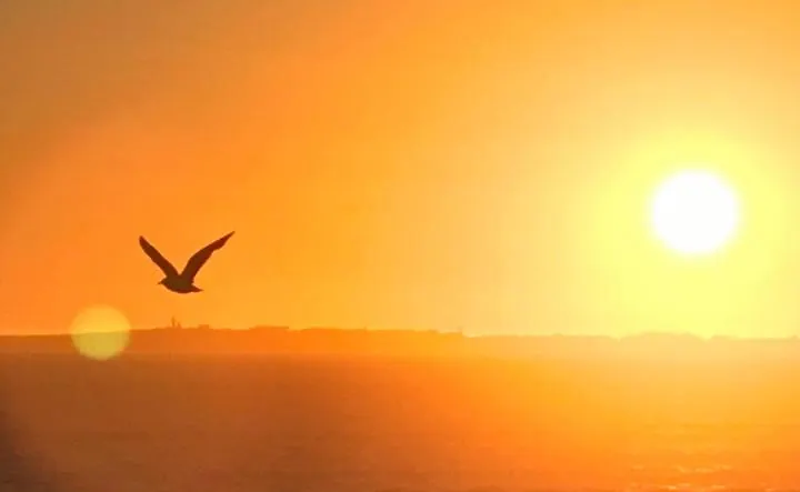 Afrička vrelina postaje svakodnevnica Evrope