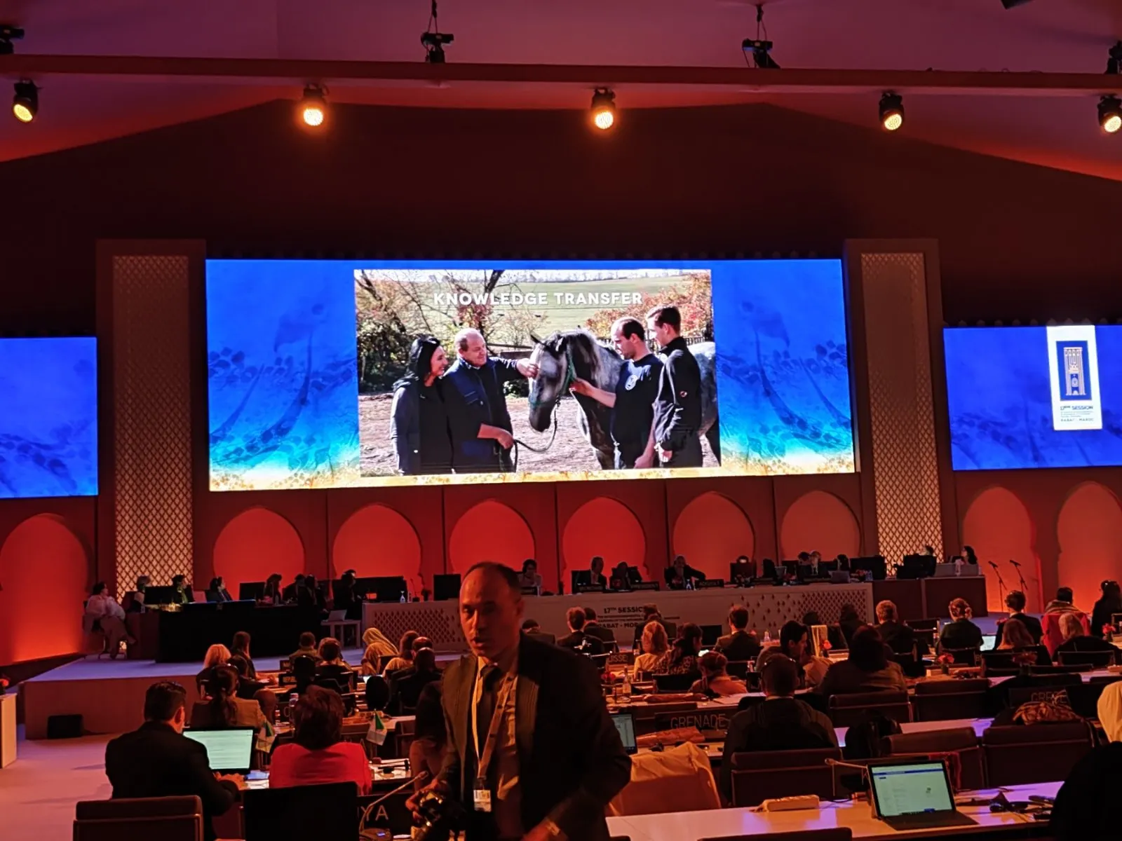 „Традиција узгоја коња липицанера“ уписана на Репрезентативну листу нематеријалне културне баштине човјечанства