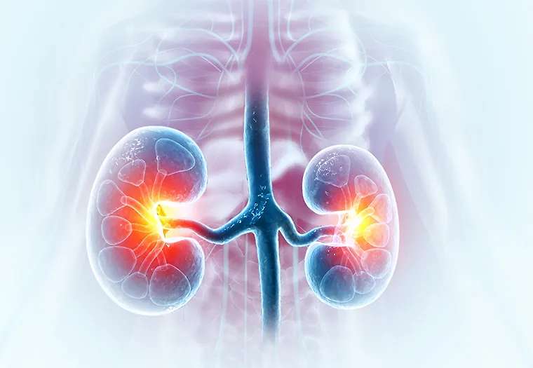 Данас се обиљежава Свјетски дан бубрега