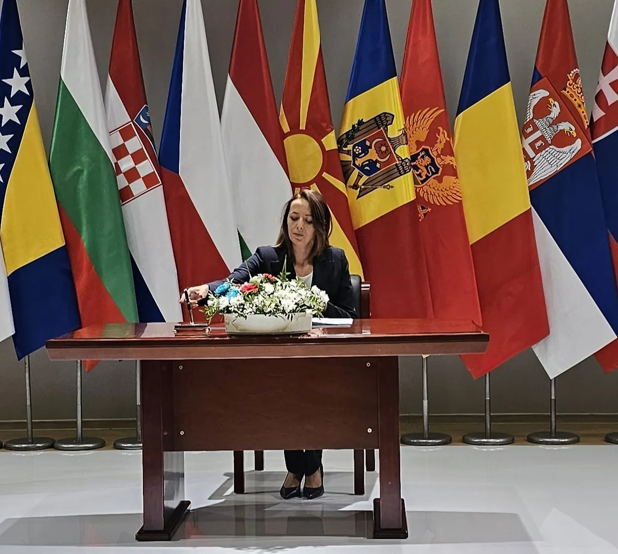 Босна и Херцеговина ускоро у Програму ЕУ из области здравства вриједном 5,3 милијарди еура