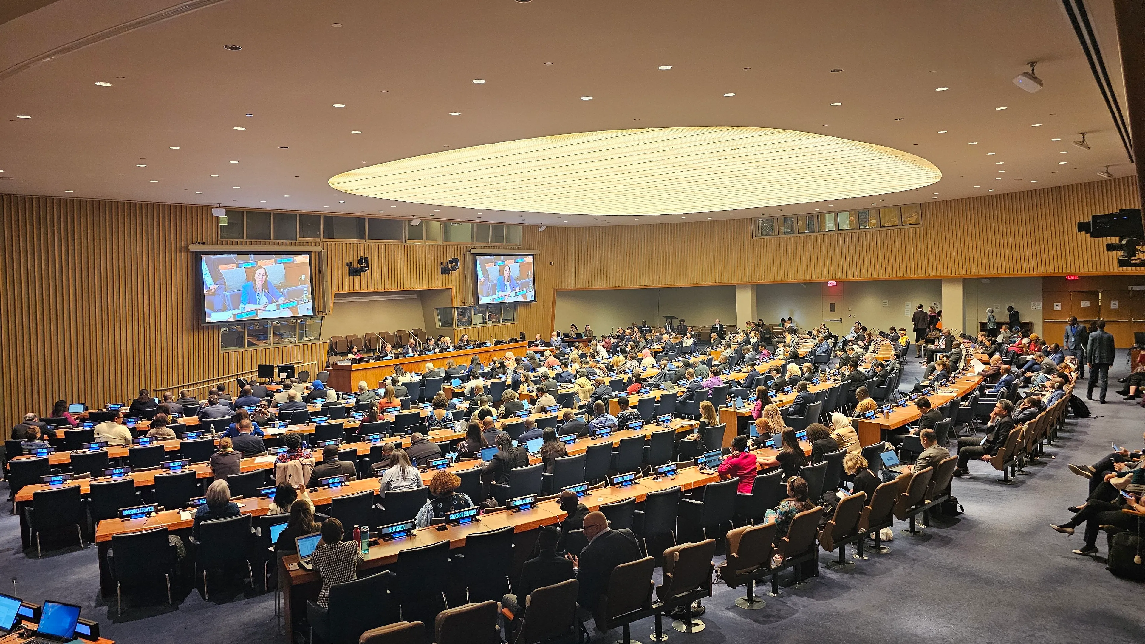 Minister of Civil Affairs of Bosnia and Herzegovina, Dubravka Bošnjak, participated in a panel discussion on sustainable development and population