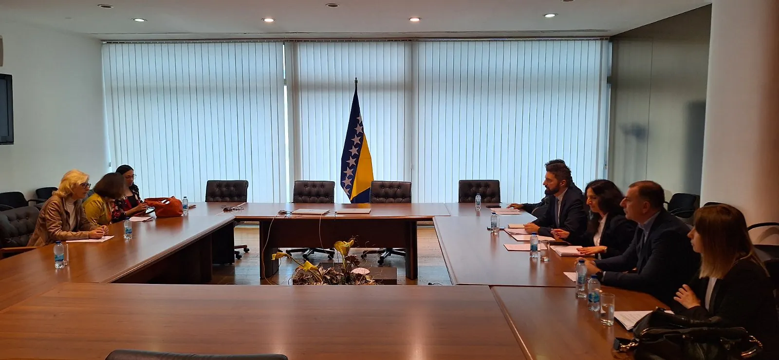 Pokrenute aktivnosti na novom programu suradnje u oblasti obrazovanja, kulture, nauke, sporta i mladih između Bosne i Hercegovine i Republike Austrije