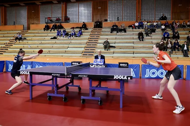 Olimpijske kvalifikacije u stonom tenisu u Sarajevu