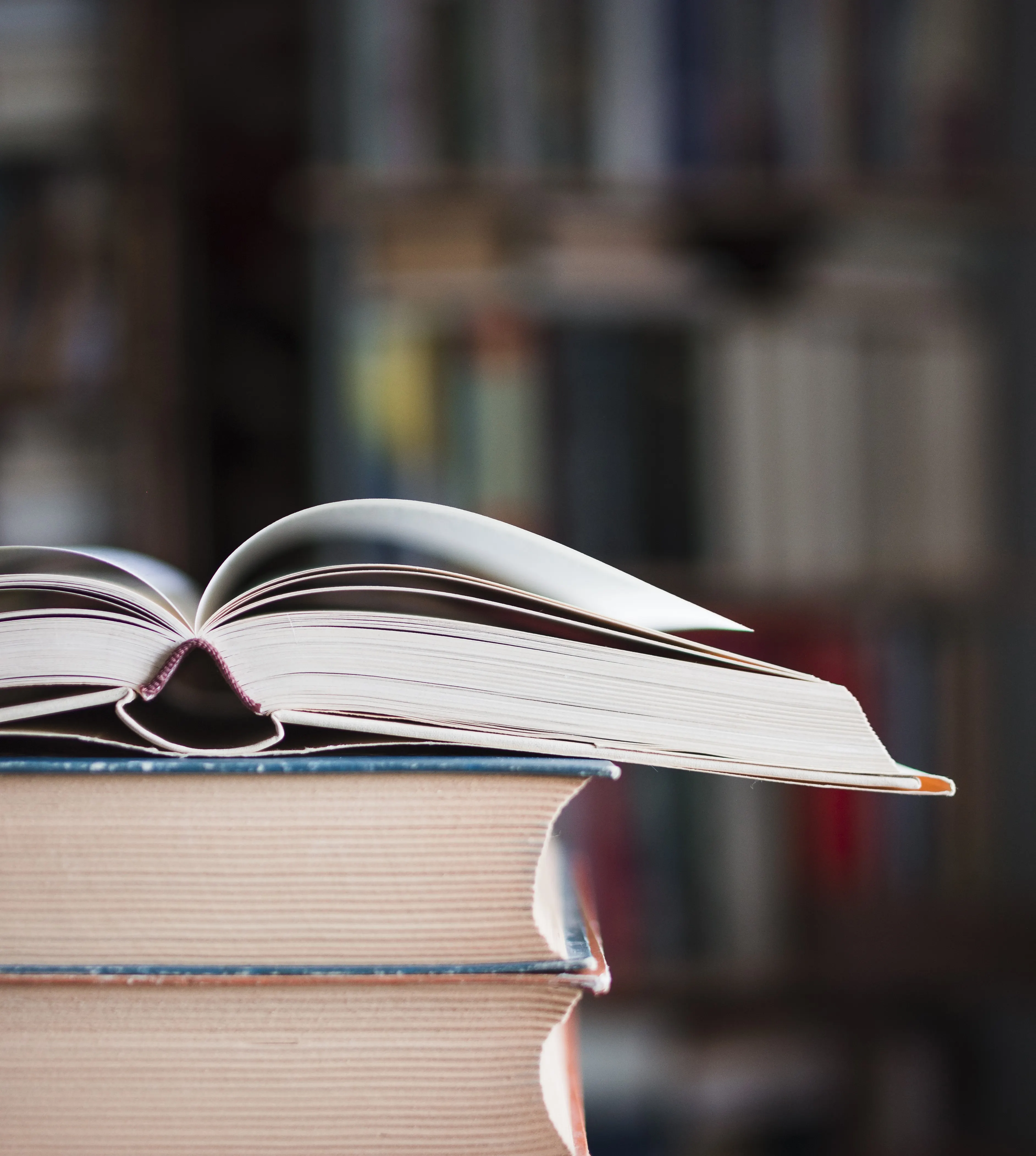 Vijeće Evrope razvilo Rječnik pojmova o etici i integritetu u obrazovanju