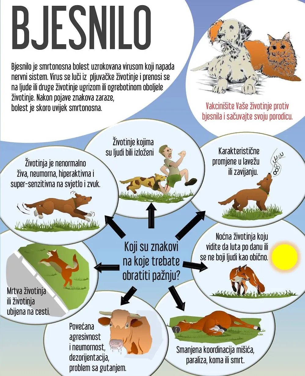 Свјетски дан борбе против бјесноће, смртоносне болести која сваке године односи више од 60.000 живота широм свијета