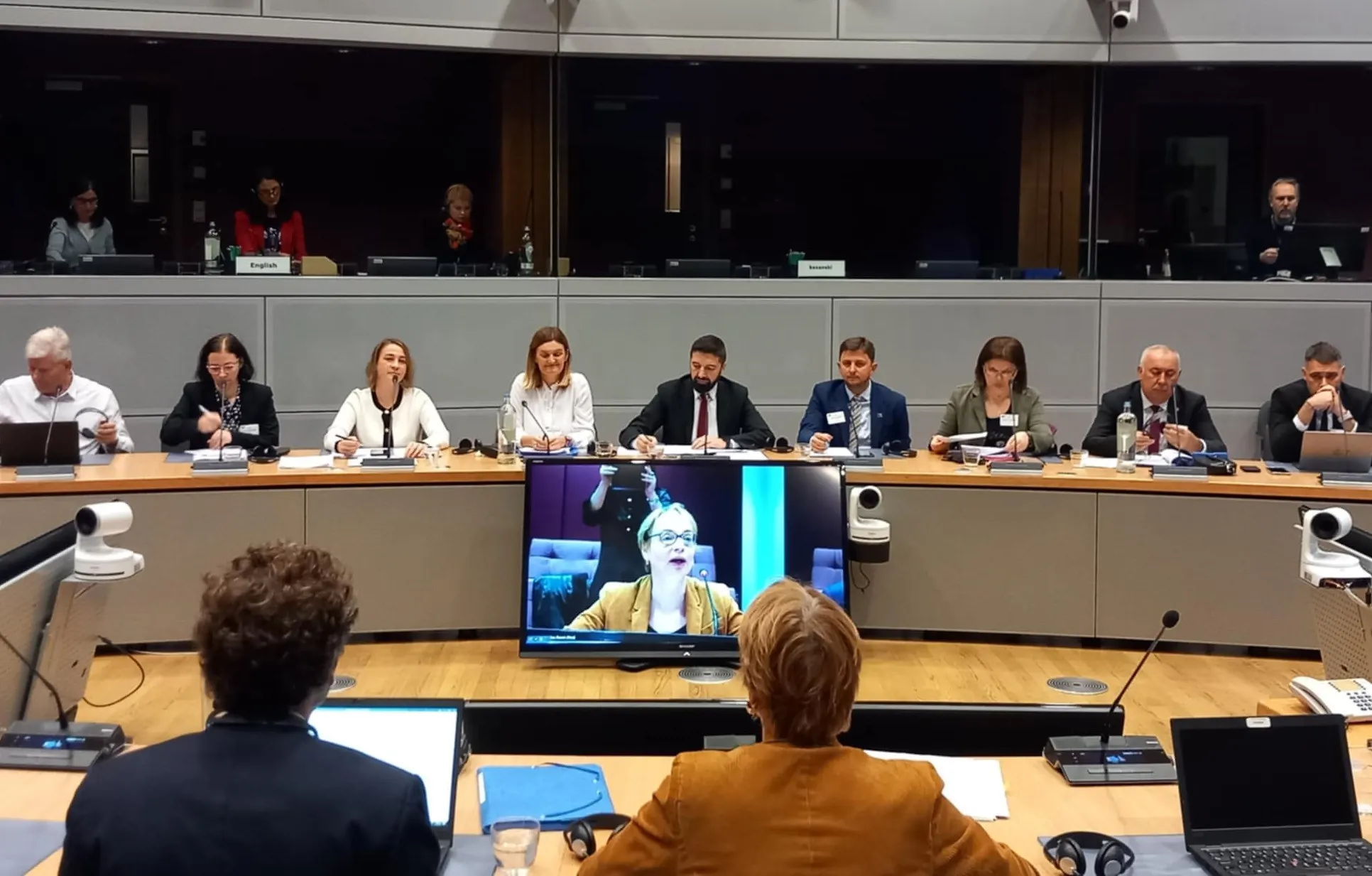 Pomoćnik ministrice za obrazovanje kopredsjedavao osmim sastankom Pododbora za inovacije, informaciono društvo i socijalnu politiku između Evropske unije i Bosne i Hercegovine