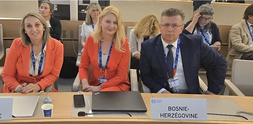 Pomoćnica ministrice civilnih poslova Ljiljana Jurak na 113. zasjedanju Međunarodne konferencije rada u Ženevi