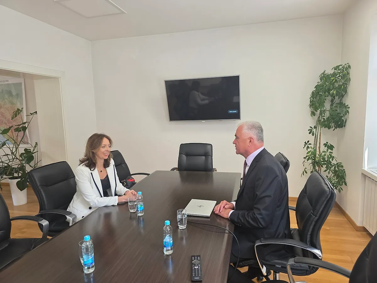 Bošnjak i Obradović: LiDAR snimanje Bosne i Hercegovine u završnoj fazi