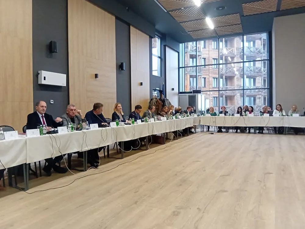 Održan koordinacioni sastanak u oblasti upravljanja radnim migracijama u Bosni i Hercegovini