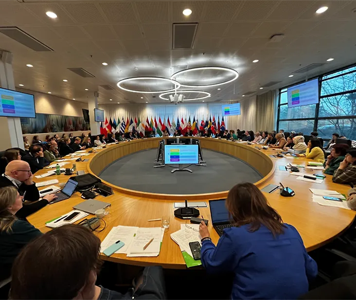 Bosna i Hercegovina na sastanku o uspostavi ujednačenog nadzora hepatitisa B i C u Europi