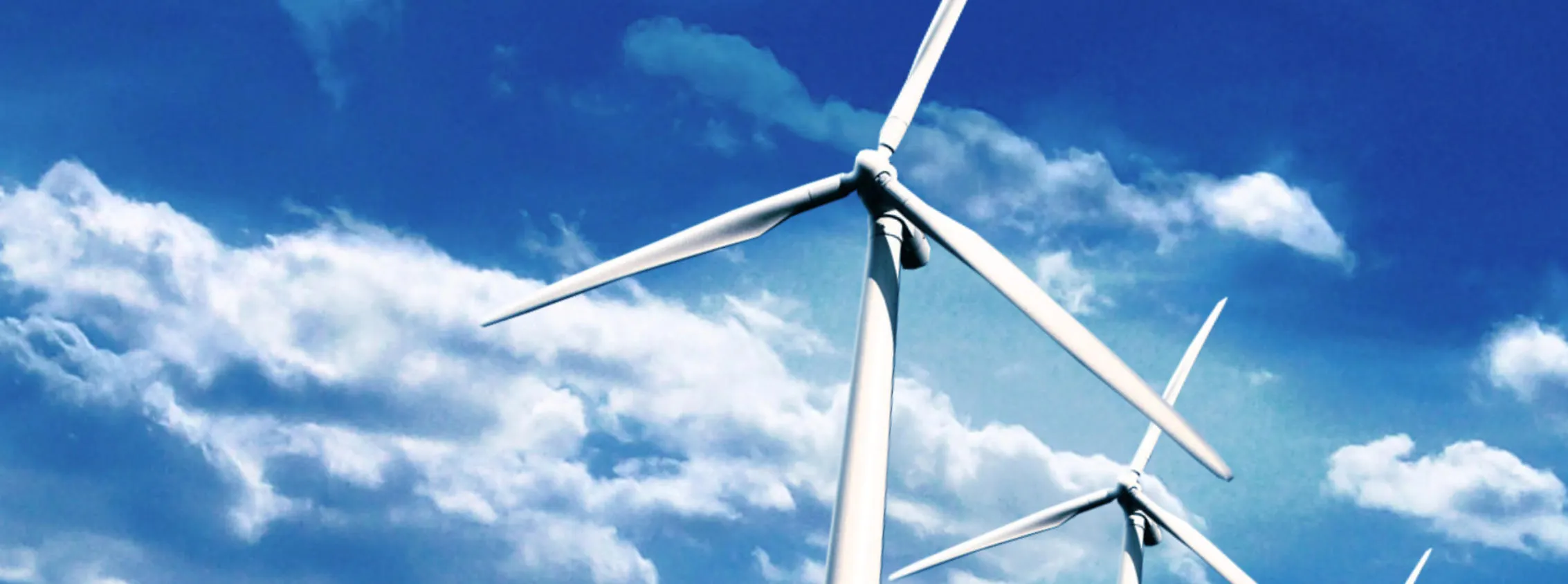 WIND FARM