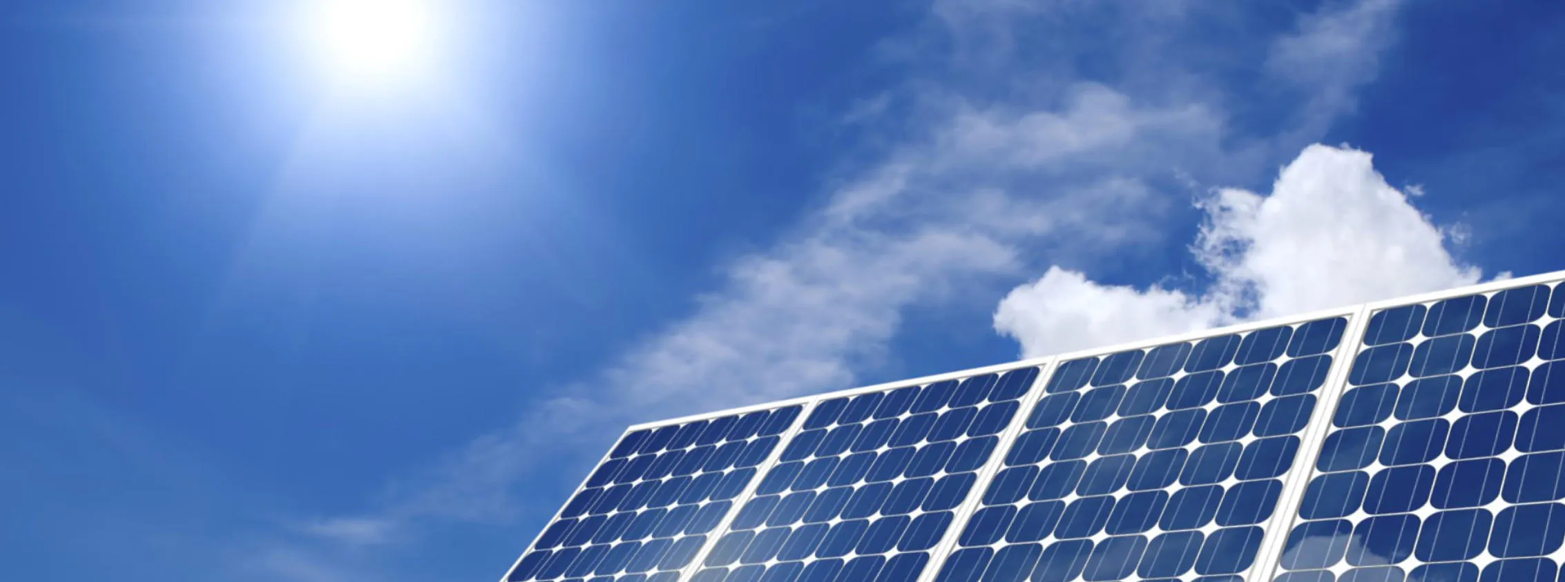 BIO & SOLAR