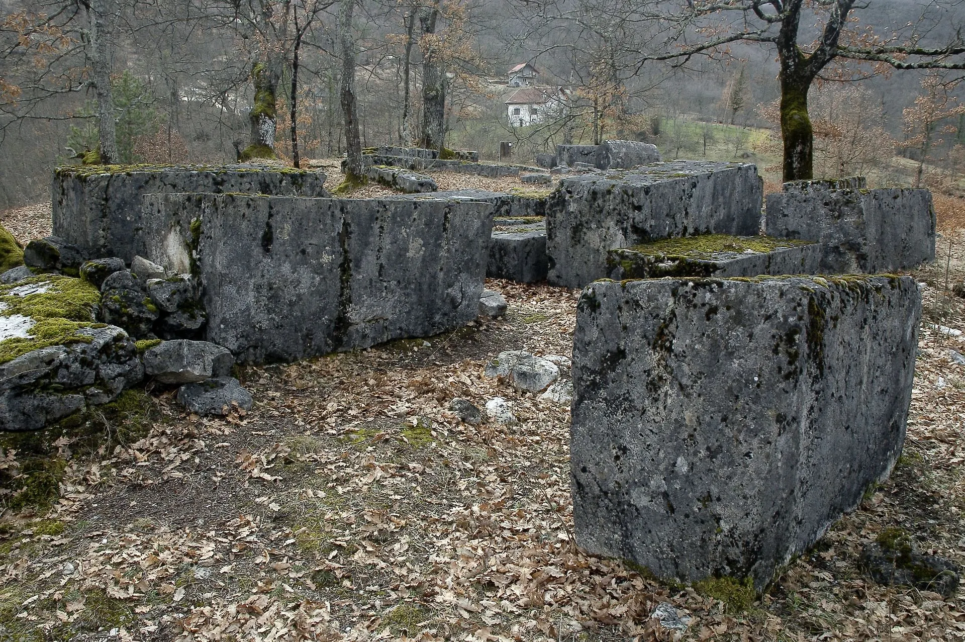 Galerija 13