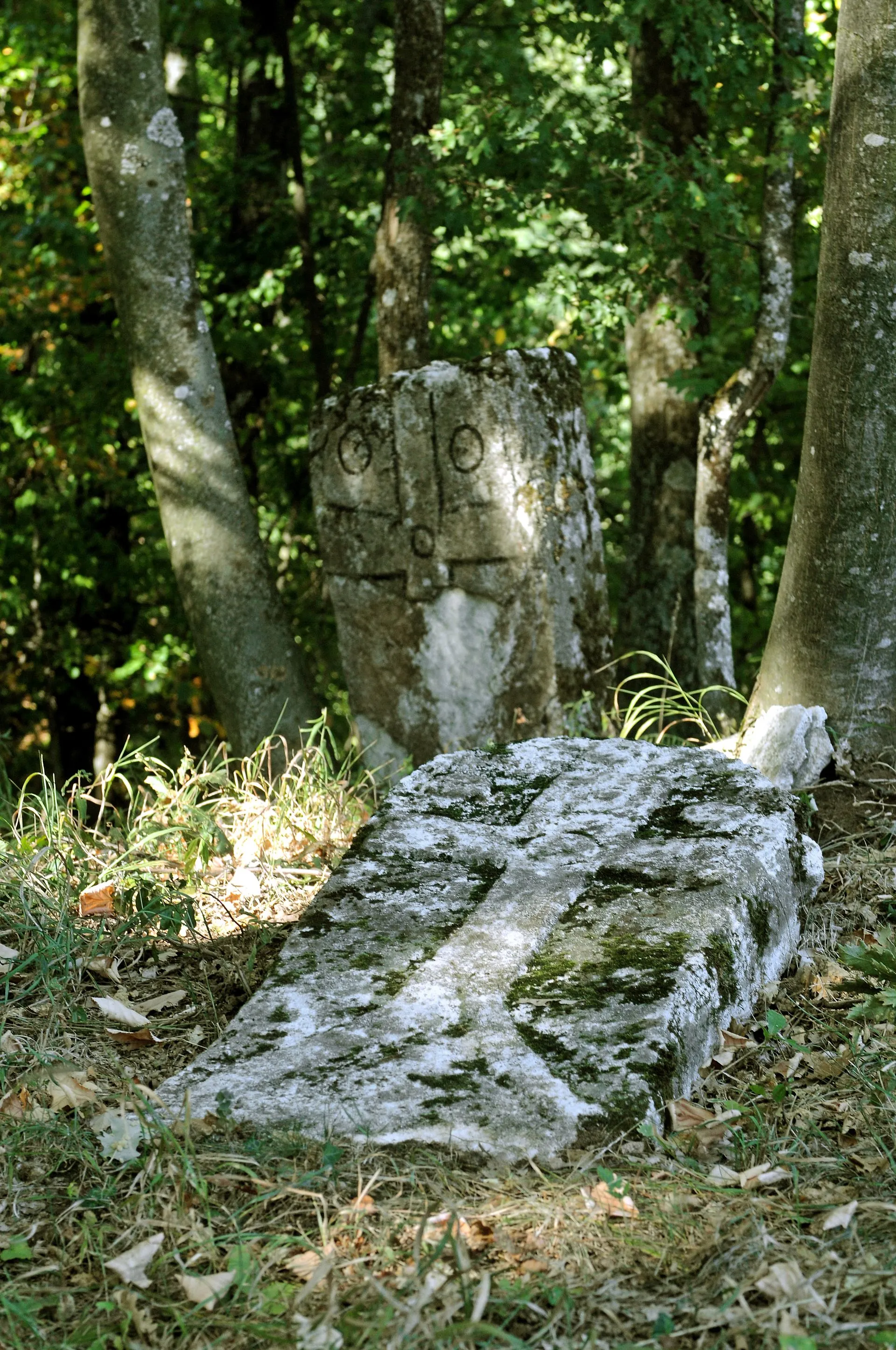 Galerija 47