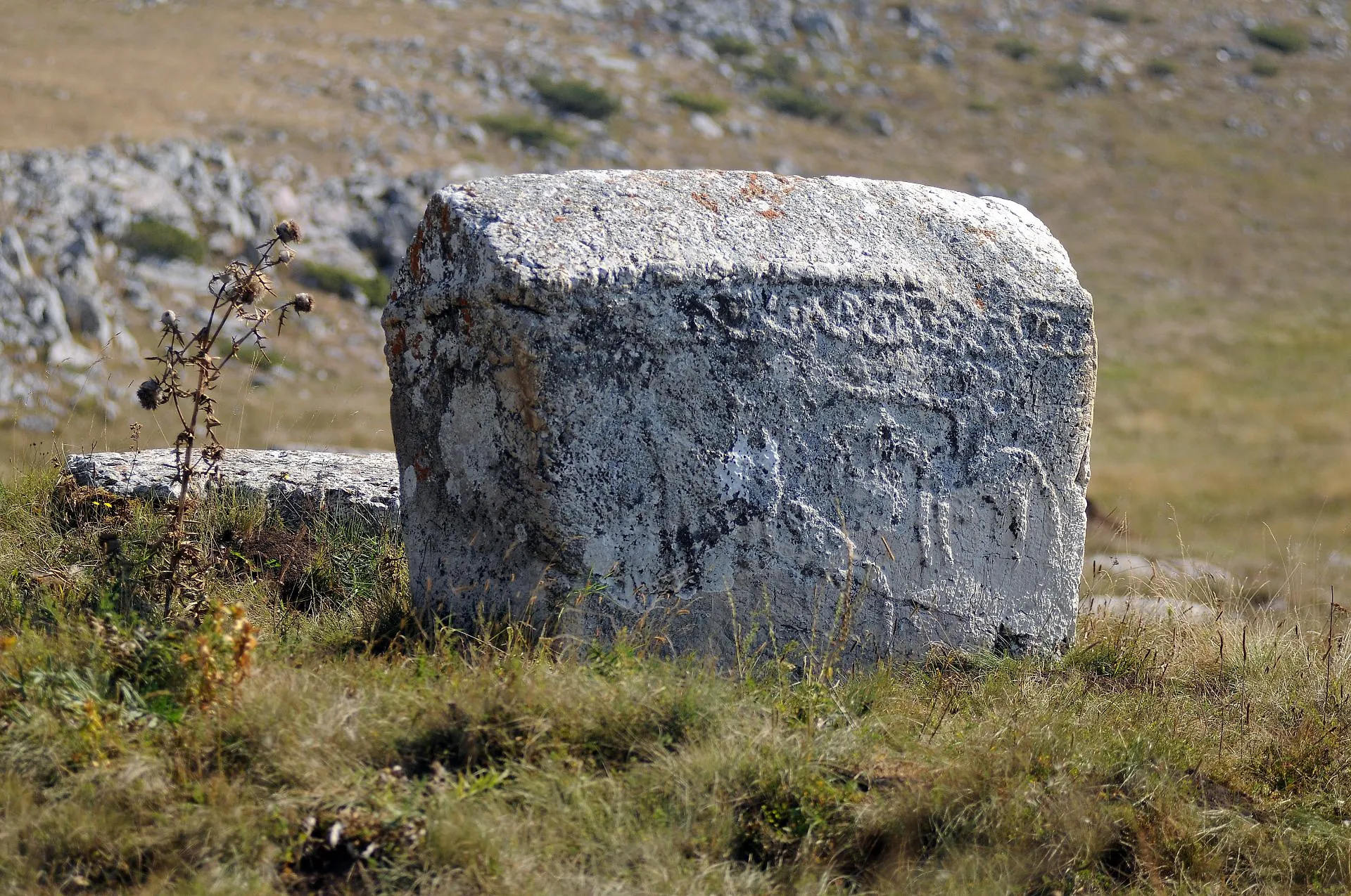 Galerija 28