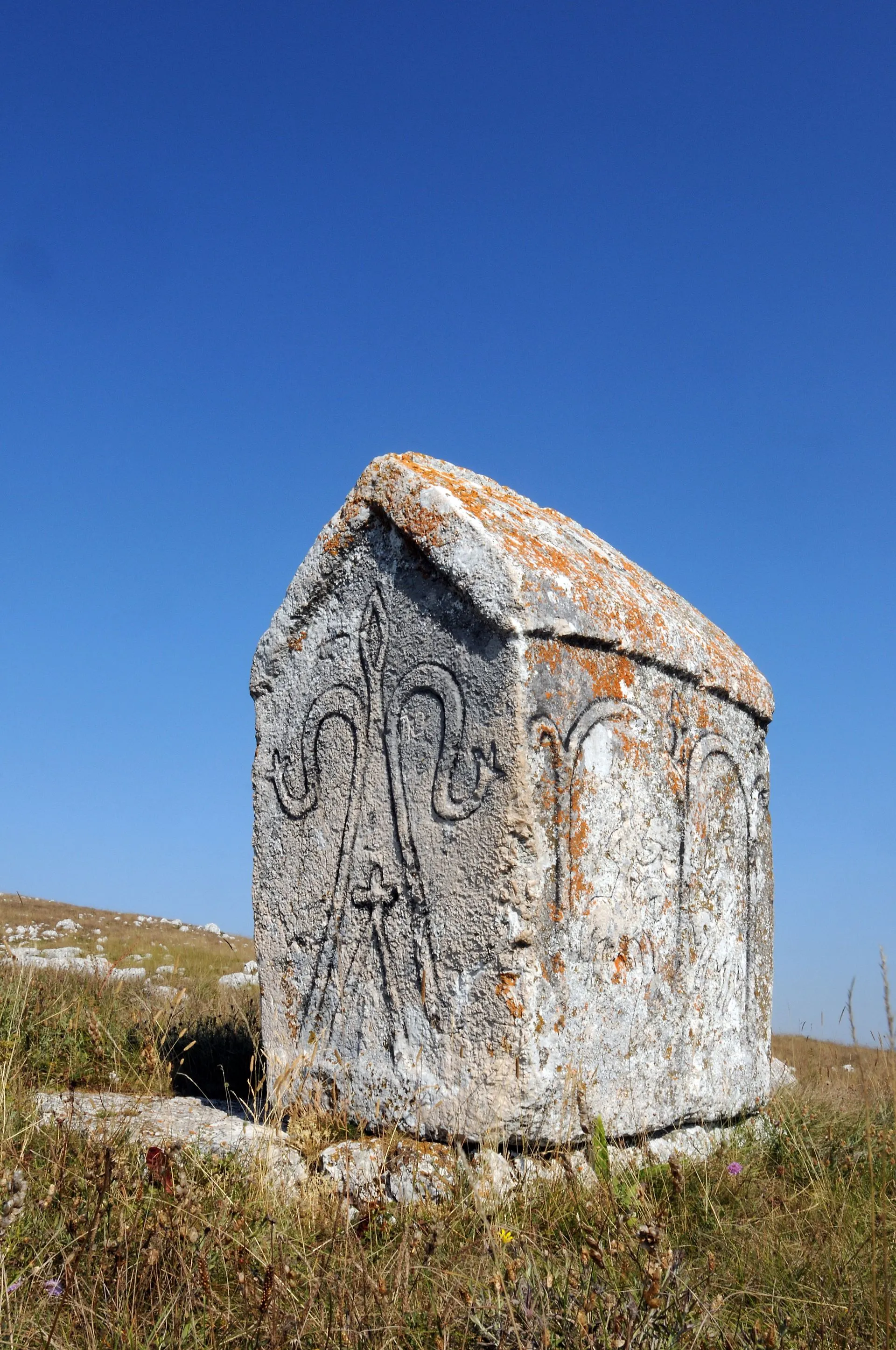 Galerija 56