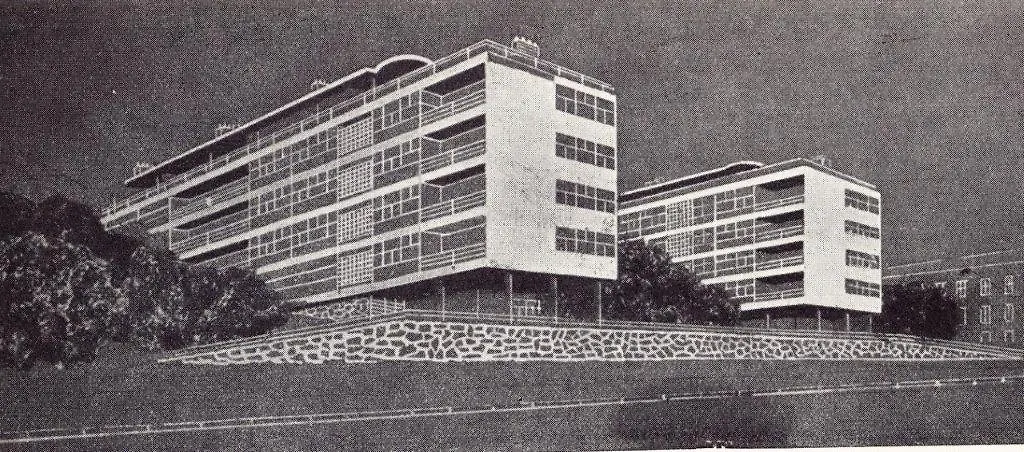 Galerija 11