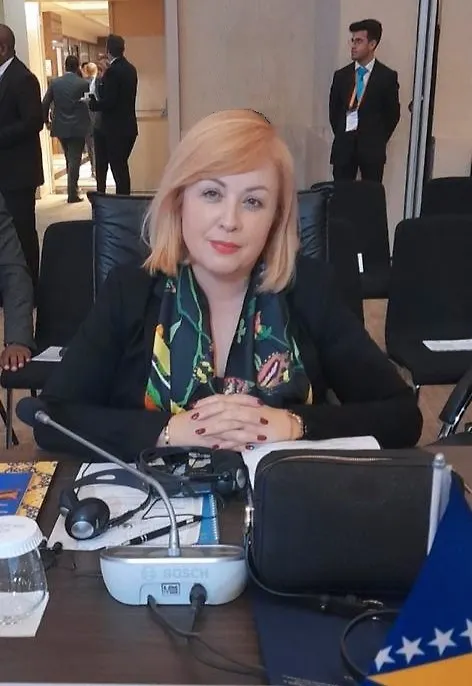 Sudjelovanje zamjenice ministra vanjske trgovine i ekonomskih odnosa BiH, gđe Ljiljane Lovrić, na 39. ministarskom zasjedanju Komiteta za ekonomsku i gospodarsku suradnju (COMCEC)